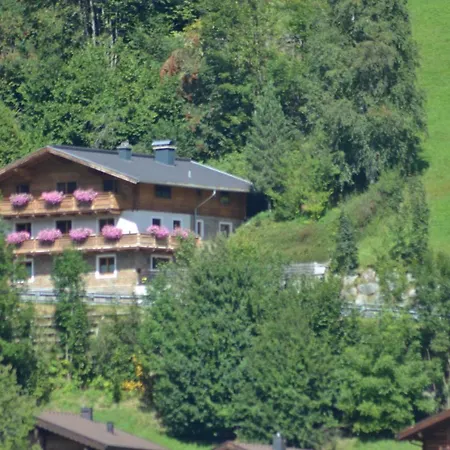 Rieder Wald im Pinzgau