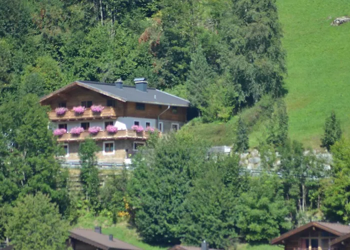 Rieder Wald im Pinzgau